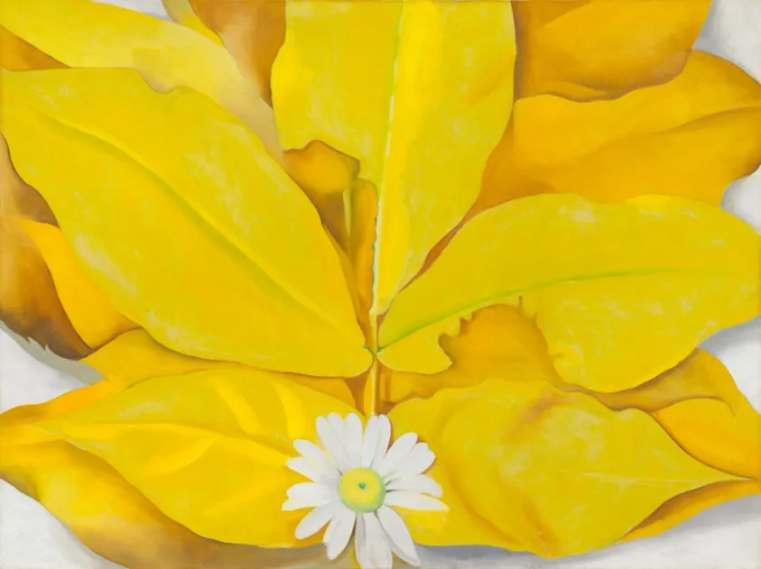 Yellow Hickory Leaves with Daisy, 1928 - Georgia O’Keeffe - www.nga.gov